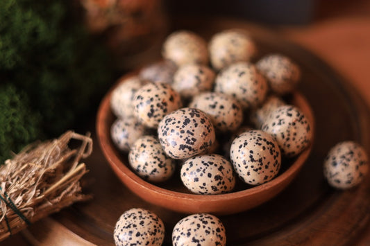 Dalmatian Jasper