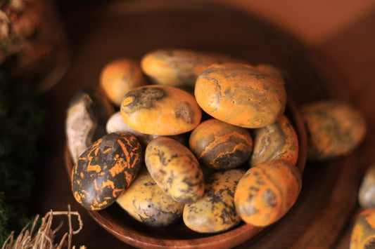 Bumblebee Jasper