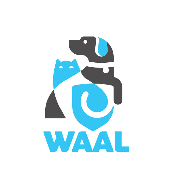 Kitten “Flow” Yoga