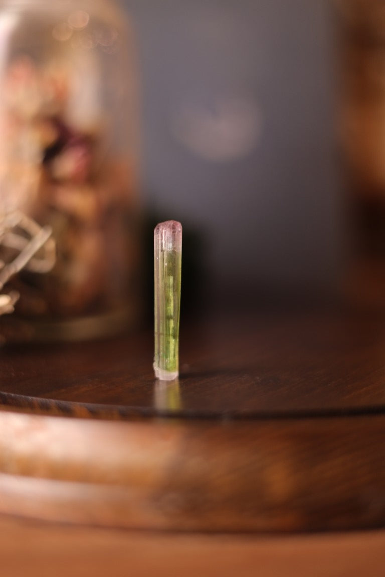 Watermelon Tourmaline