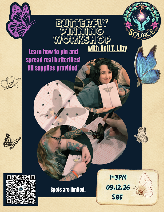 Butterfly Pinning Class w/ Koji T. Liby