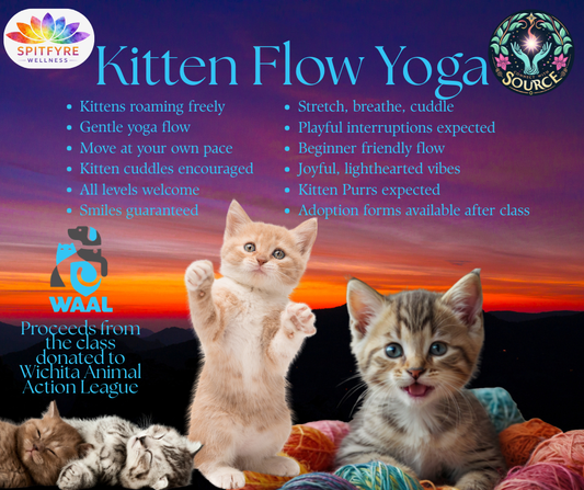 Kitten “Flow” Yoga