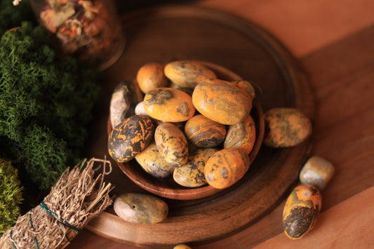 Bumblebee Jasper