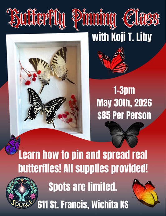 Butterfly Pinning Class w/ Koji T. Liby